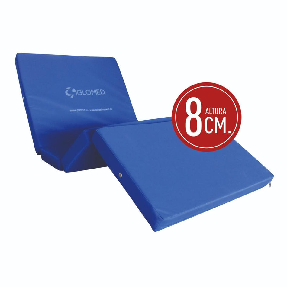 Cama Clínica Manual 2 Pos Plus + Colchón Impermeable 8cm